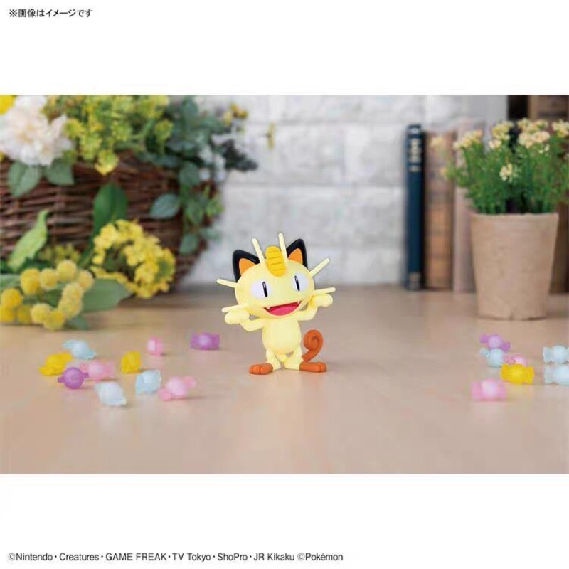정품 반다이 포켓몬 플라모 퀵 미오프 푸에코코 피플럽  - Model Kit Quick Piplup 리뷰 및 가격