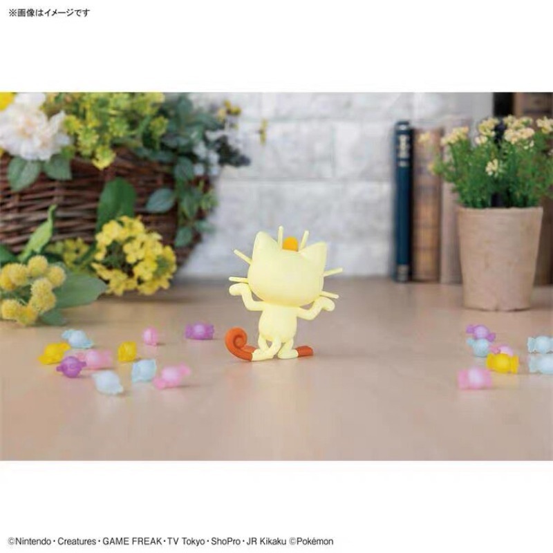 정품 반다이 포켓몬 플라모 퀵 미오프 푸에코코 피플럽  - Model Kit Quick Piplup 리뷰 및 가격
